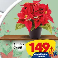 ATATÜRK ÇİÇEĞİ